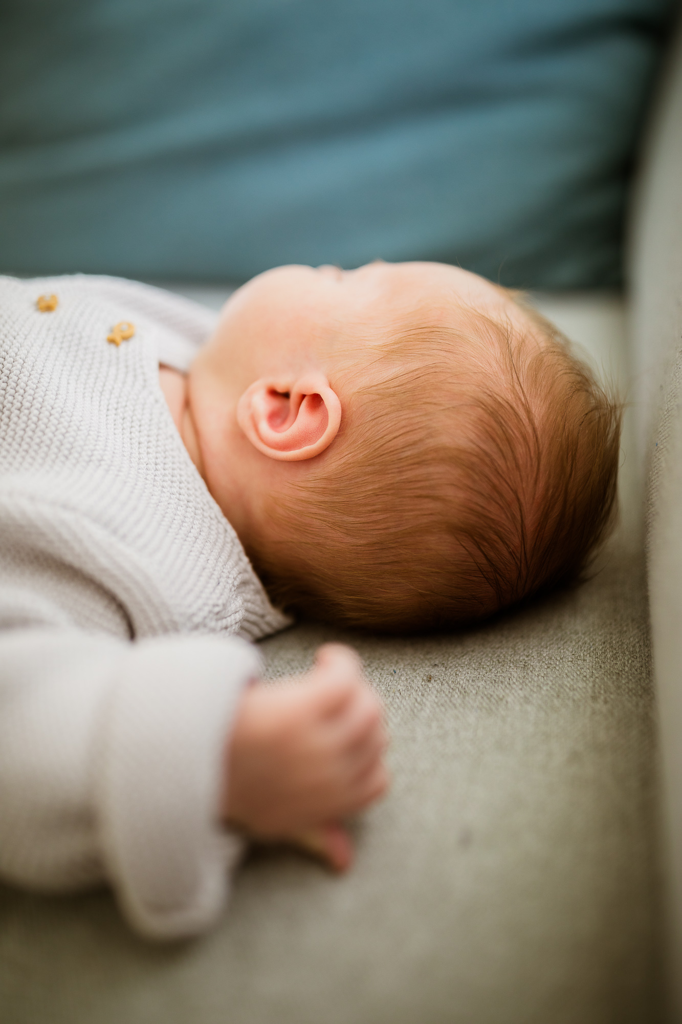 Export x3 5D4 6775 Familienfotoshooting 2019 Hefti 2